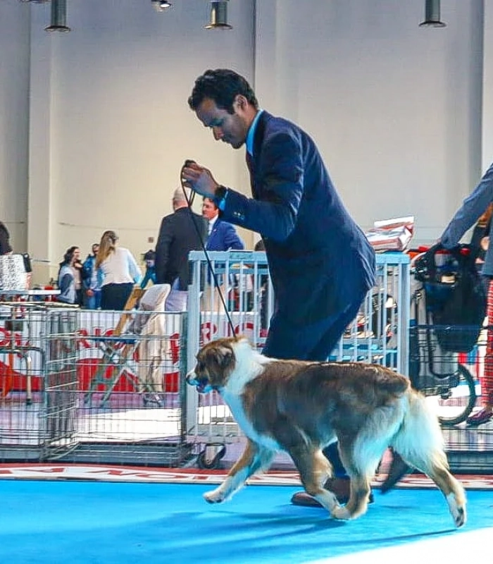 IMG_20240319_141004_490