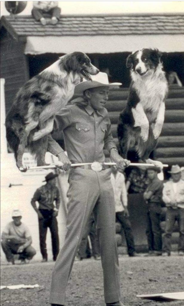 Historia del Australian Shepherd