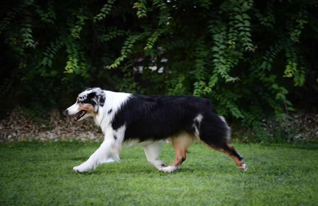 FB_IMG_1738179555355