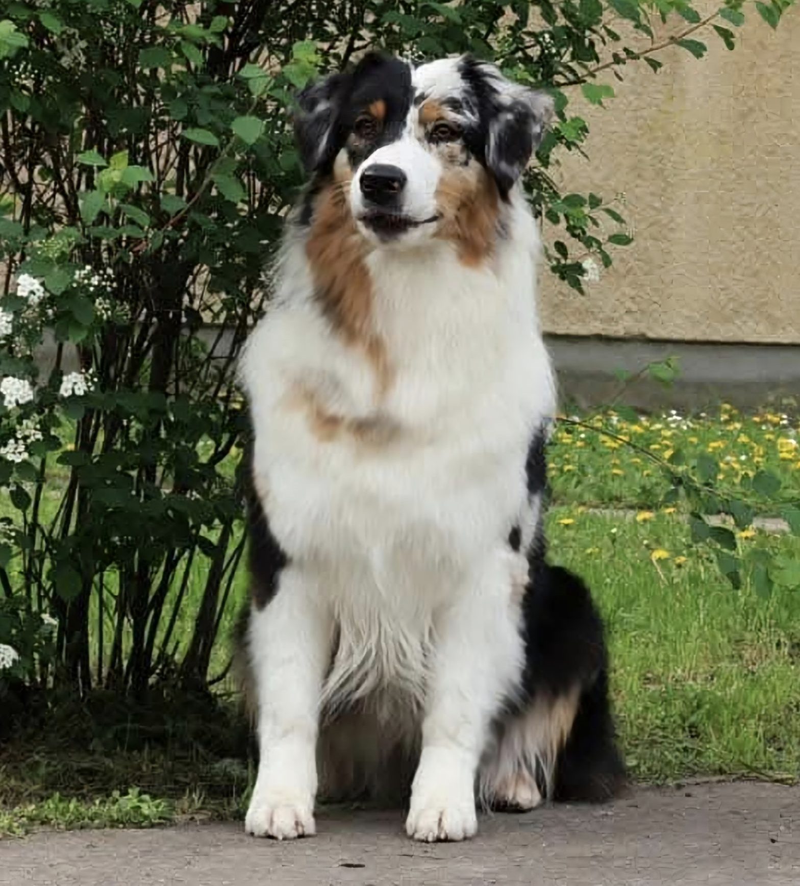 Screenshot_20250102_000232_Facebook