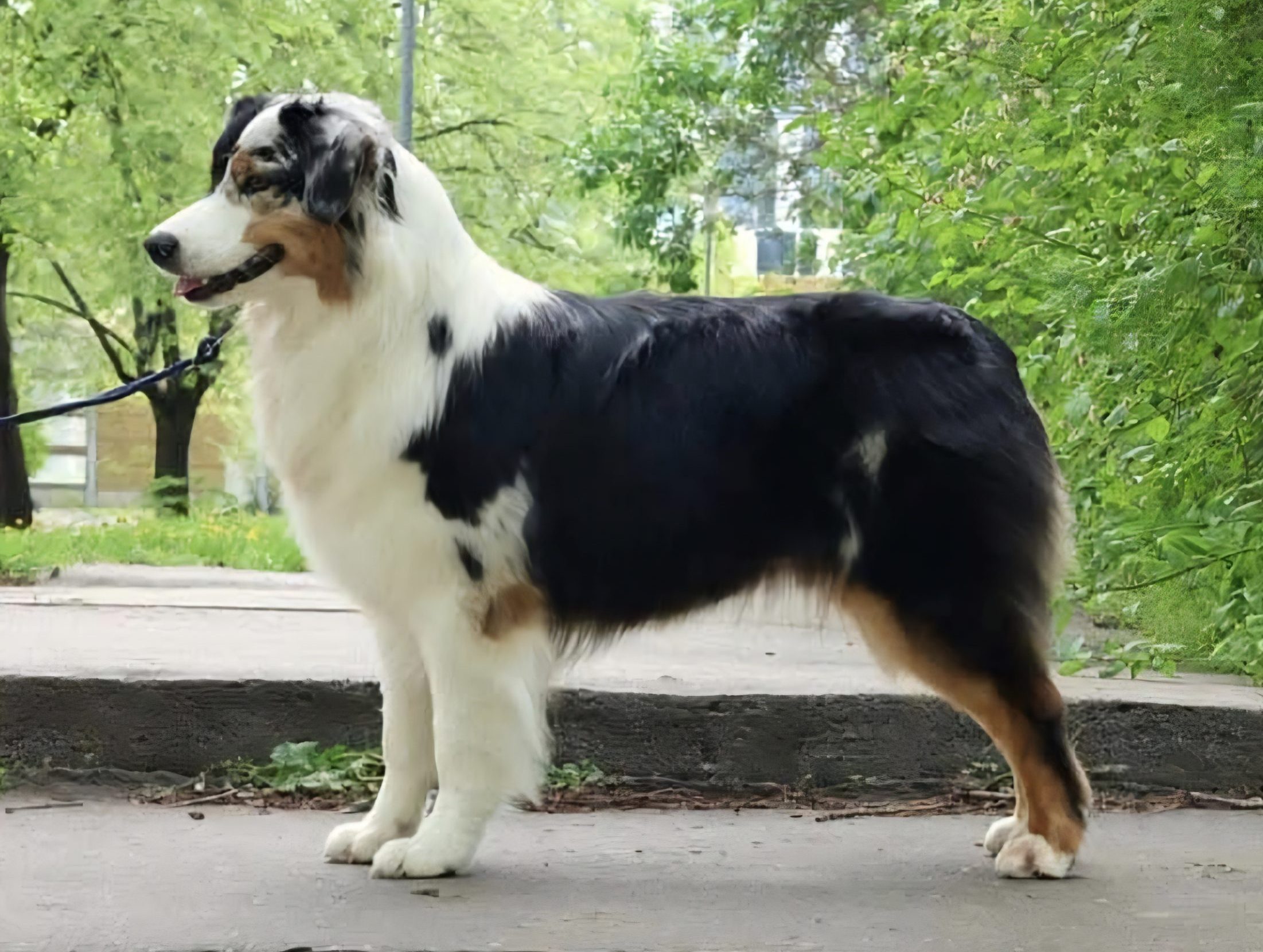 Screenshot_20250102_000500_Facebook