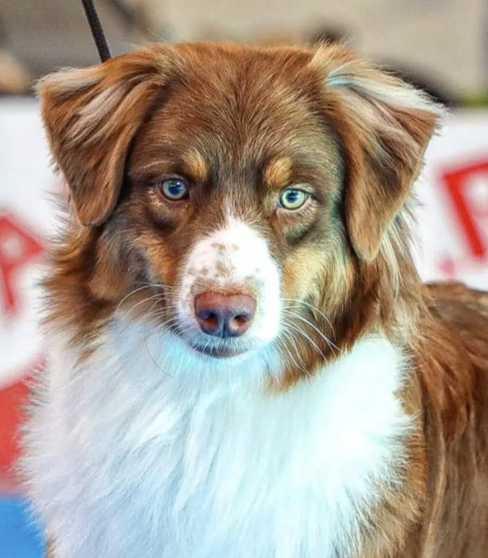 Screenshot_20250302_210527_Instagram