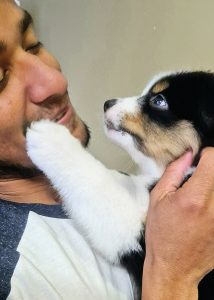 Cachorro Velvet Universe