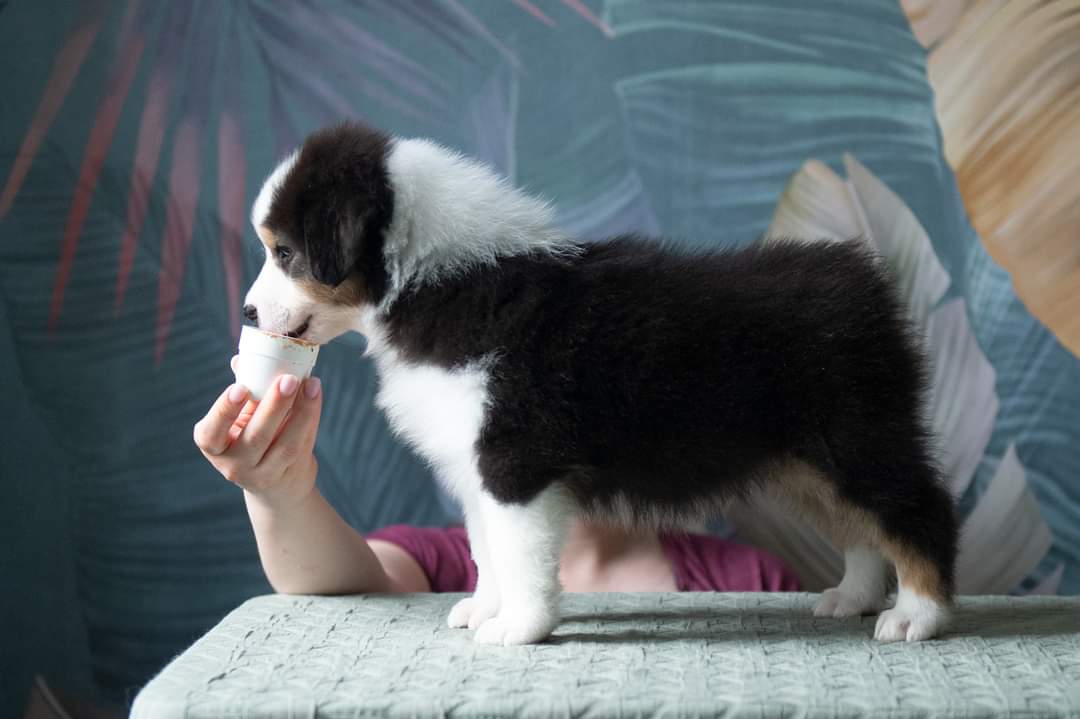 FB_IMG_1722789078453