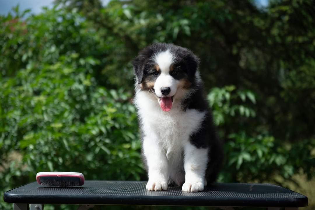 FB_IMG_1722789100940