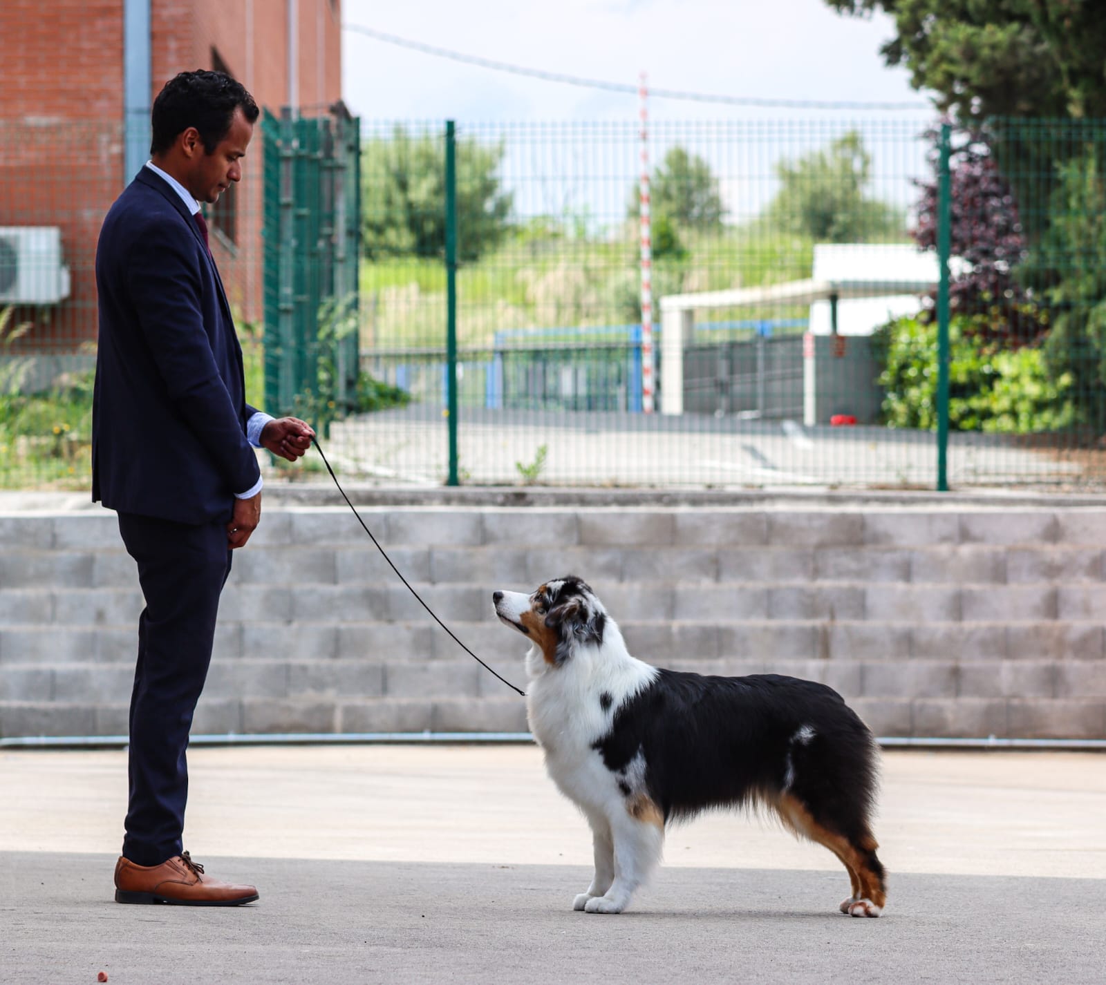 IMG-20250504-WA0015(1)