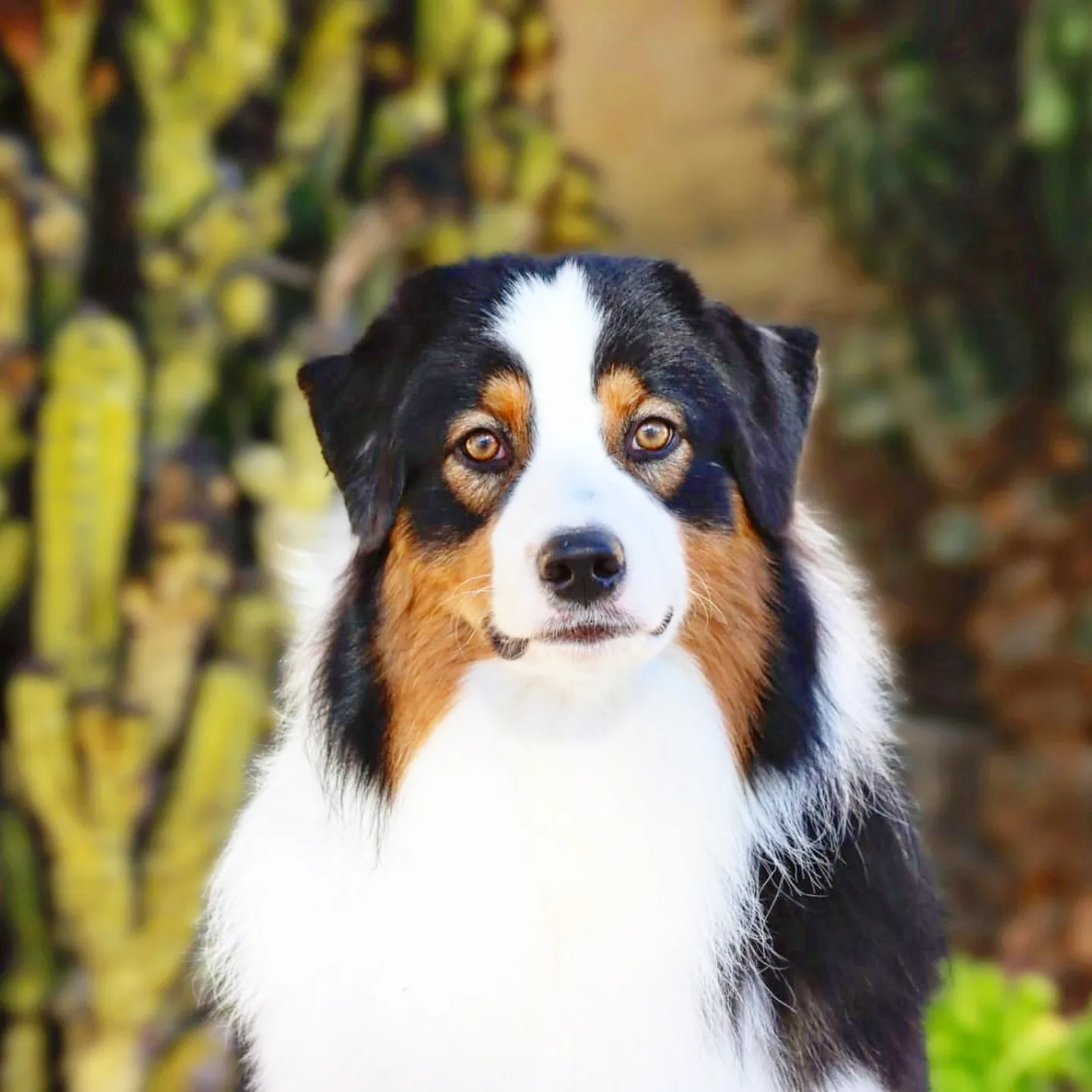 IMG_20241229_115217_322