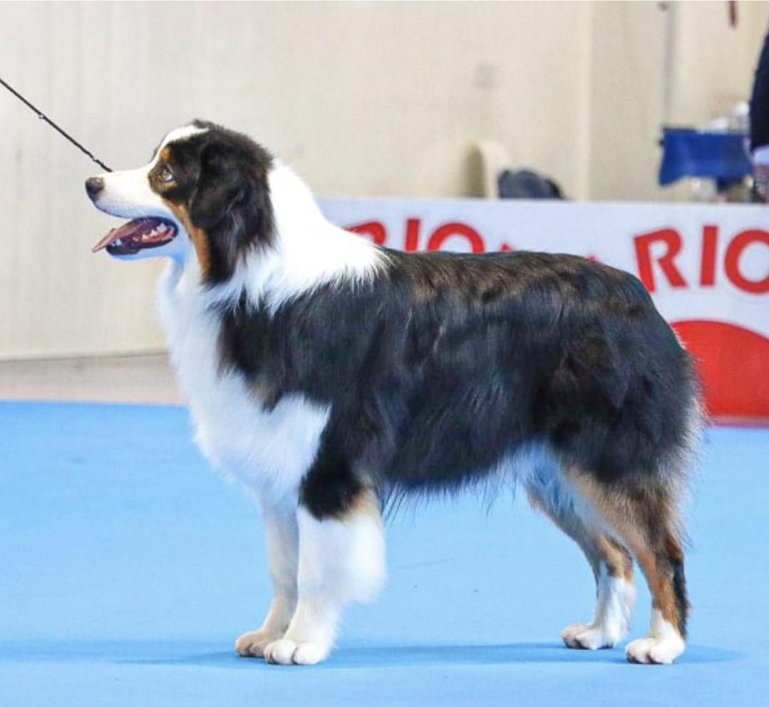 Screenshot_20240717_211357_Chrome