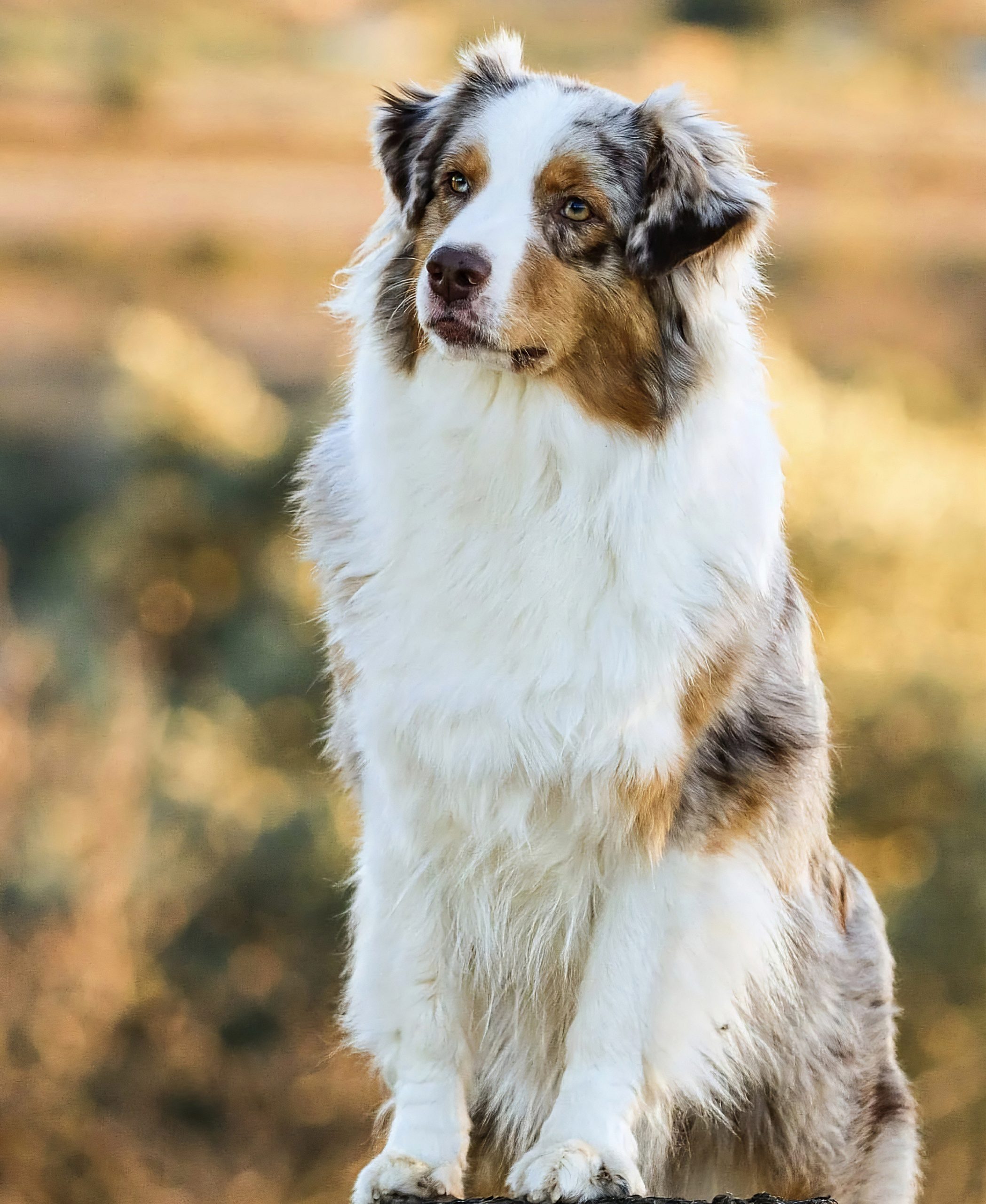 Screenshot_20240723_200503_Instagram