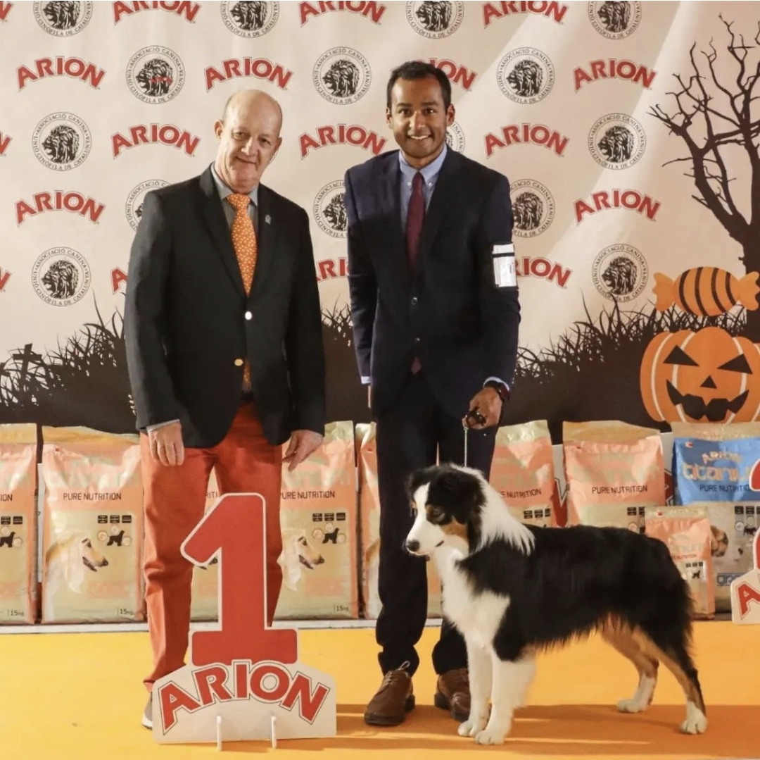 Screenshot_20240825_161000_Instagram