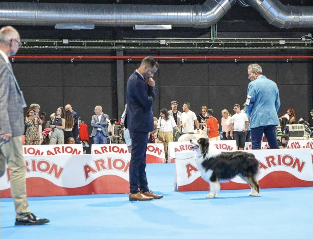 Screenshot_20240825_161044_Instagram