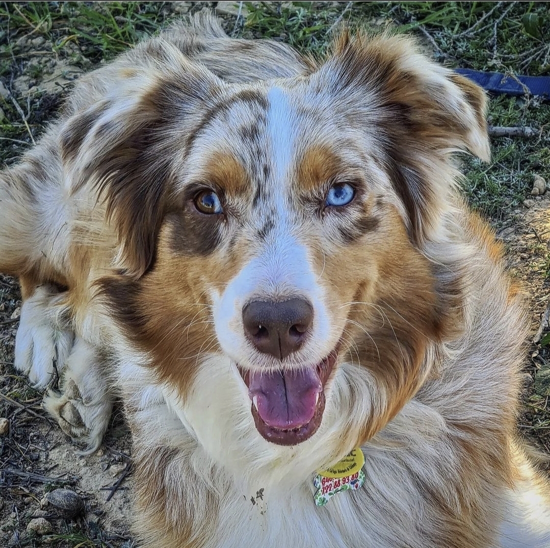 Screenshot_20250111_104522_Gallery