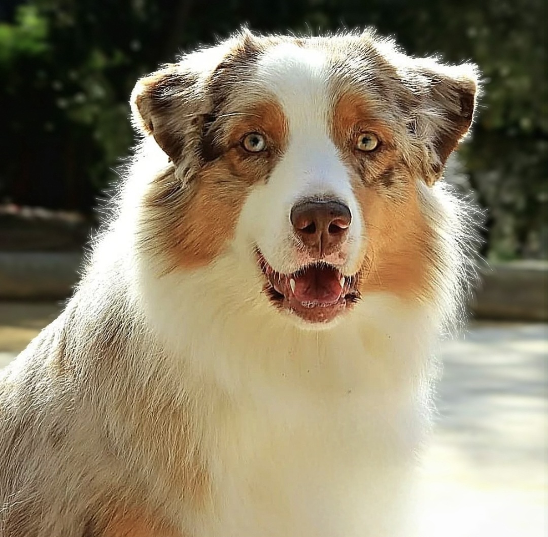 Screenshot_20250302_210441_Instagram