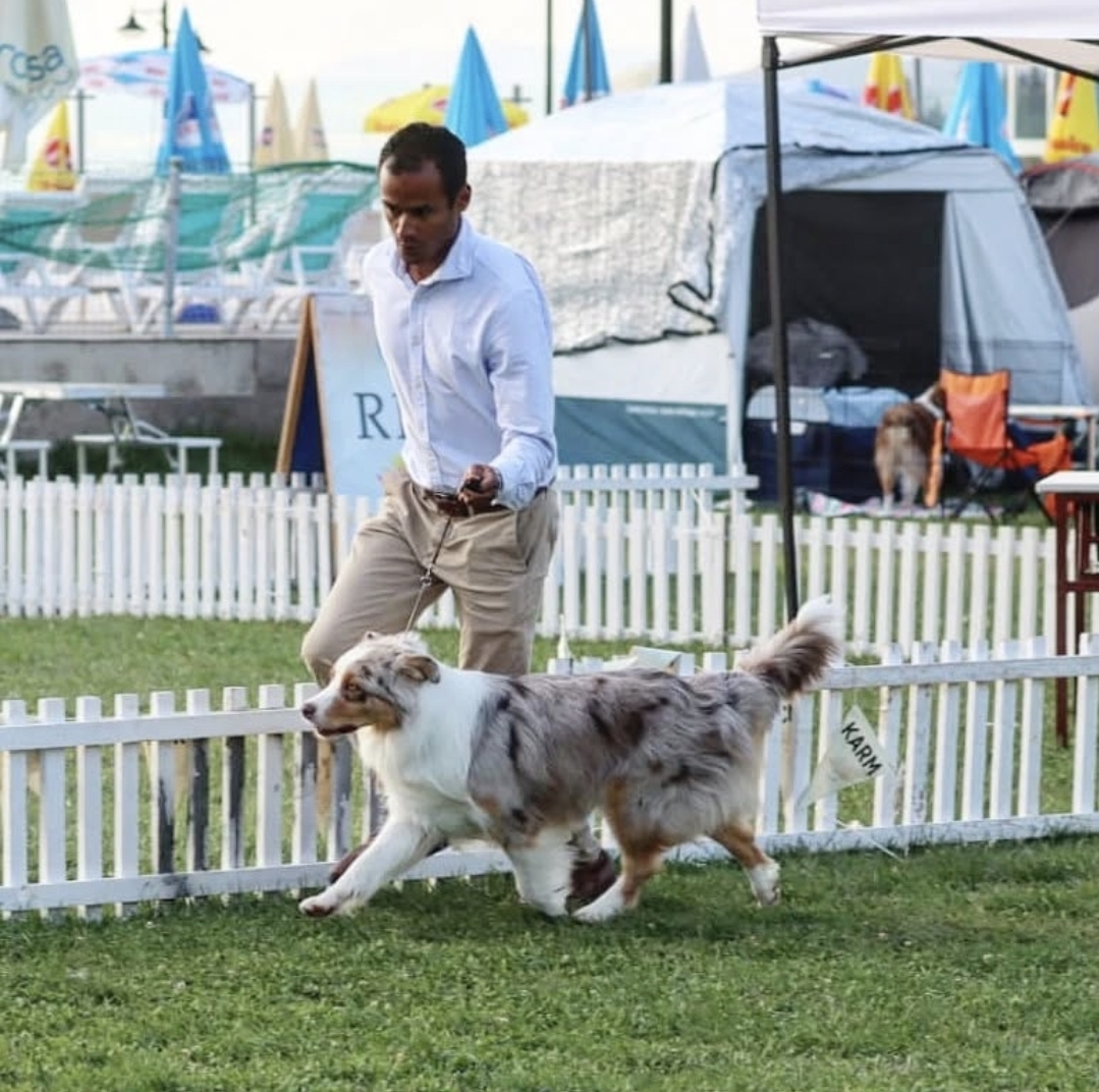 Screenshot_20250520_185016_Instagram