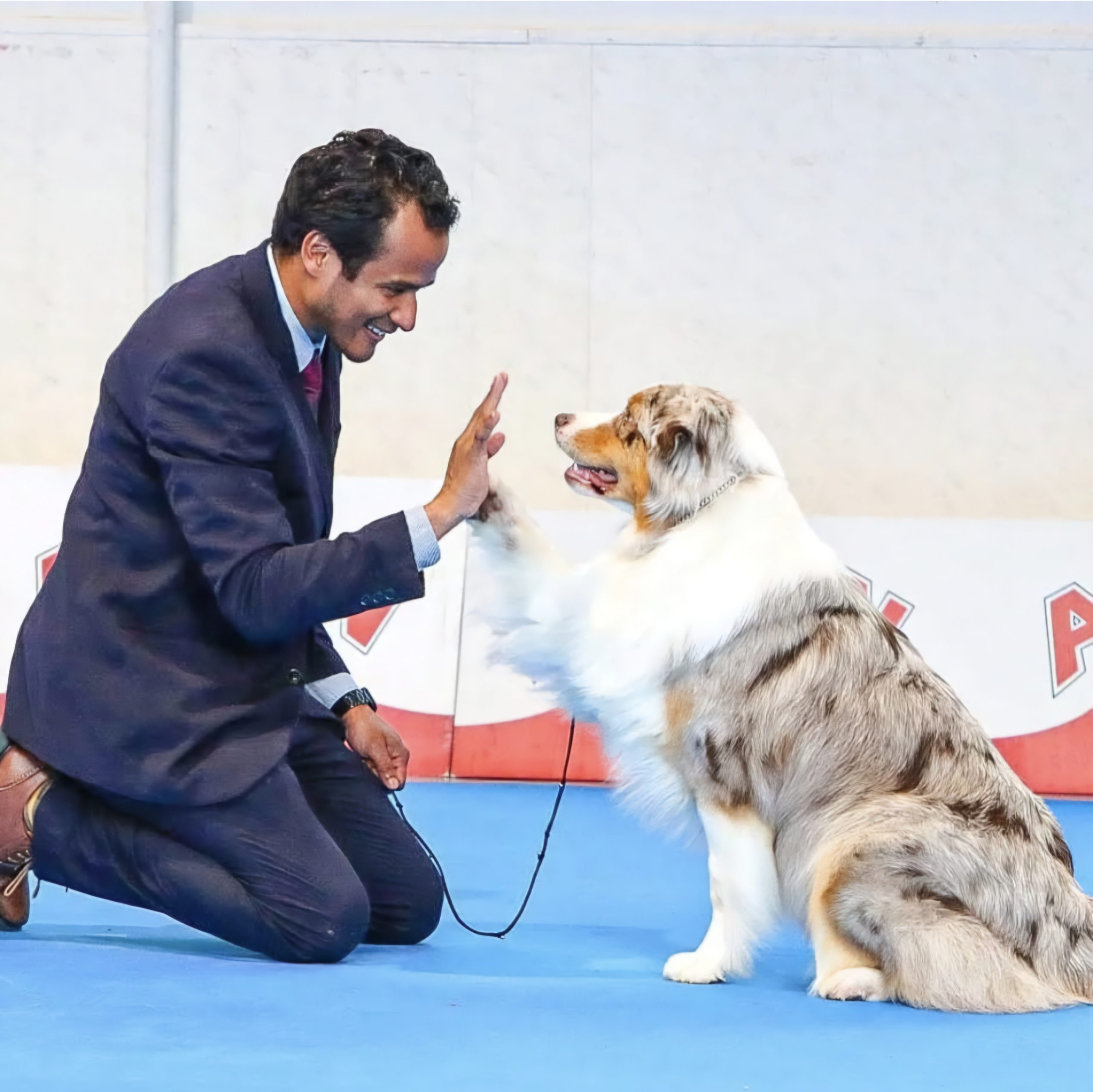 Screenshot_20250527_131335_Instagram