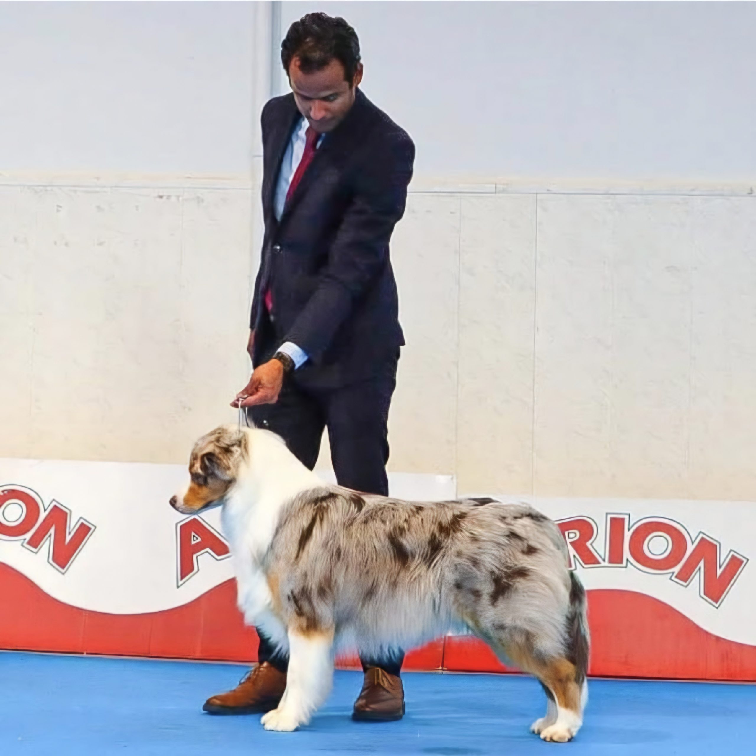 Screenshot_20250527_131404_Instagram