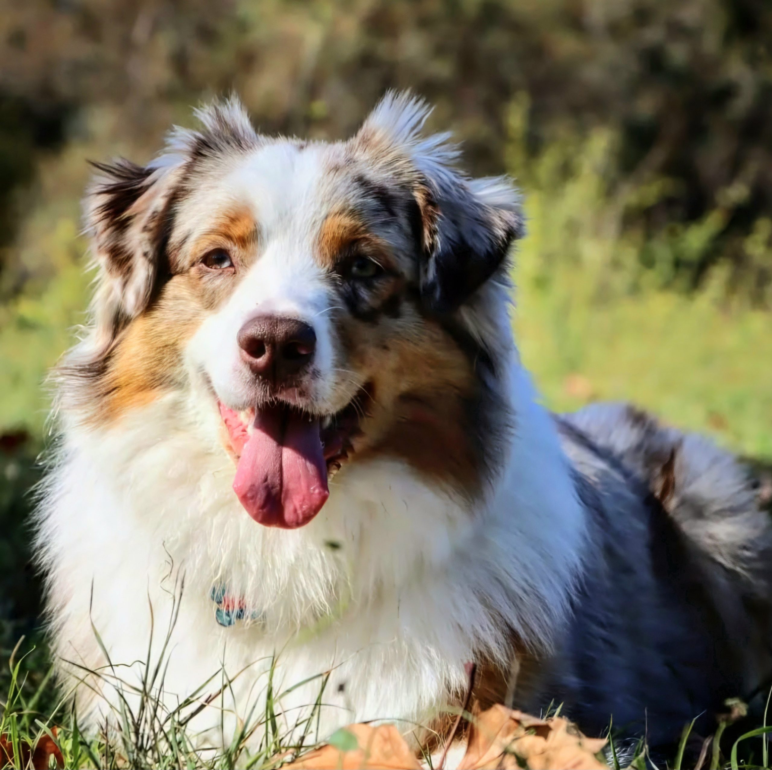 Screenshot_20250527_132740_Instagram