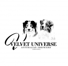 VELVET UNIVERSE