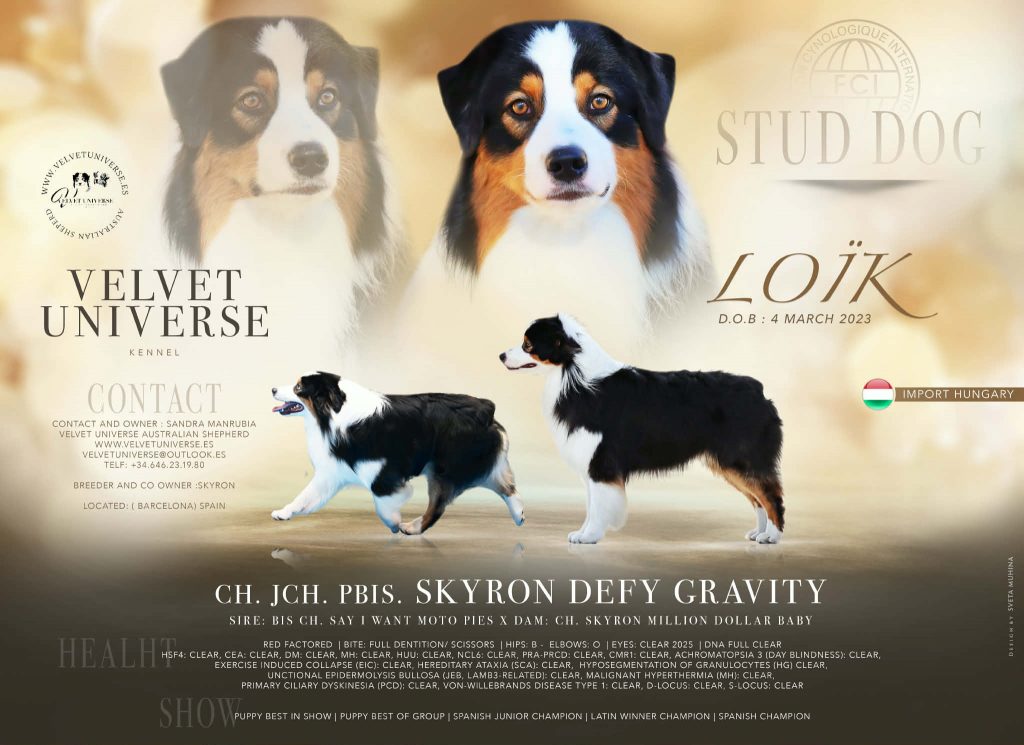 Macho Stud Velvet Universe